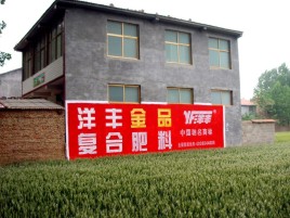 桑植如何让墙体广告展现最大化效果
