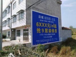 桑植墙体广告质量分析