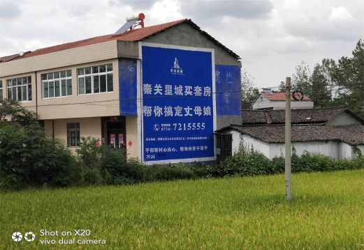 桑植决定墙体广告价格的因素有哪些？