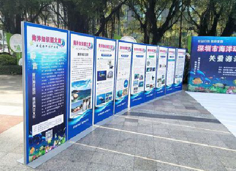 桑植KT板的种类和知识。